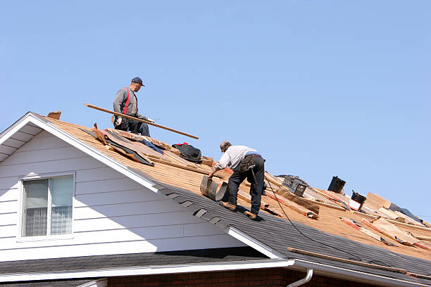 Best Roof Moss and Algae Removal  in Rpinteria, CA